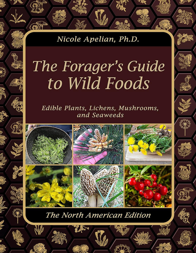 The Forager’s Guide to Wild Foods Paperback edition by Nicole Apelian (Author