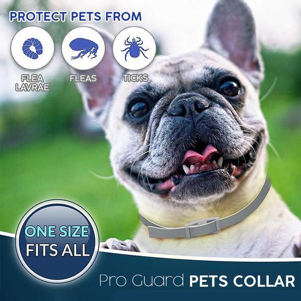 Pro Guard Flea and Tick Pet Collar - gocyberbiz.com