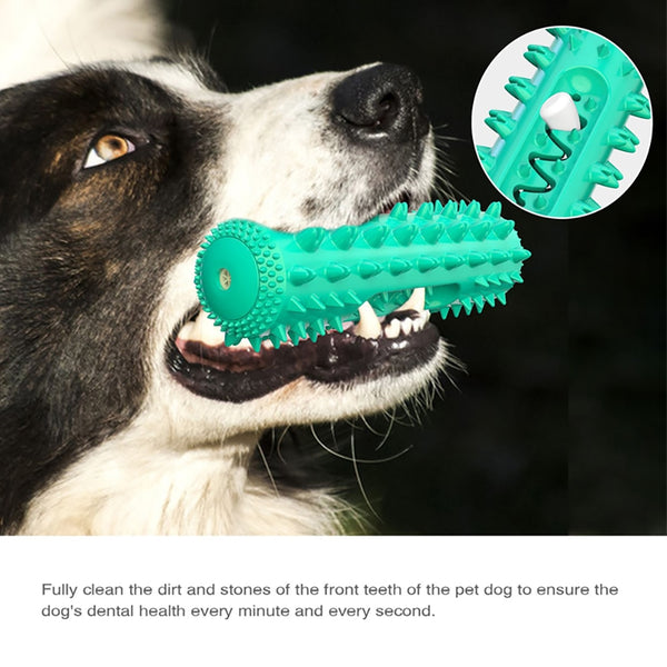 Dog Molar Chew Cleaning Toothbrush - gocyberbiz.com