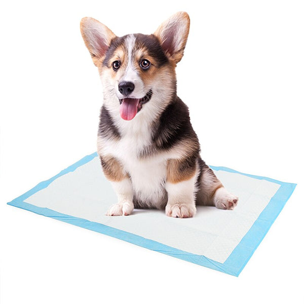 Super Absorbent Pet Diaper Dog Training Pee Pads Disposable Healthy Nappy Mat For Cats Dog Diapers Cage Mat Pet Supplies - gocyberbiz.com